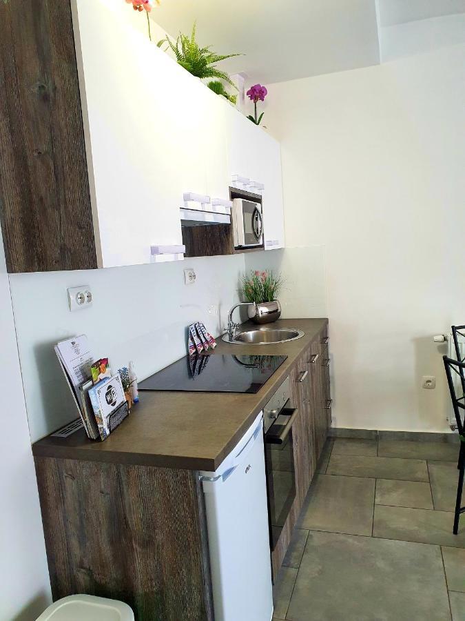Central Luxury Apartments Varaždin Zewnętrze zdjęcie